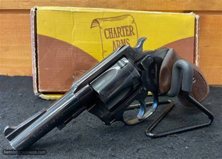 Are Charter Arms good guns?