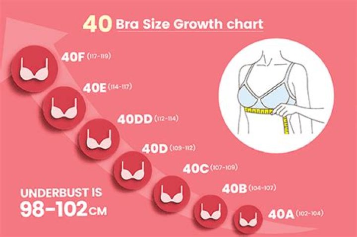 What size is a 40d?